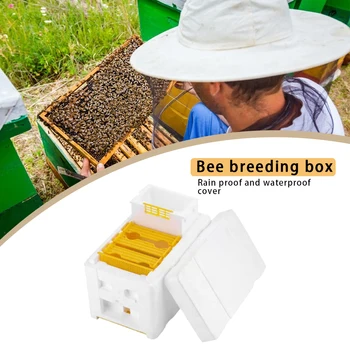 Пчелиный улей Королевская коробка для пчеловодства Пенопласт Домашний пчелиный улей Ящики для опыления Урожай Пчелиный улей Принадлежности для спаривания Пчеловода